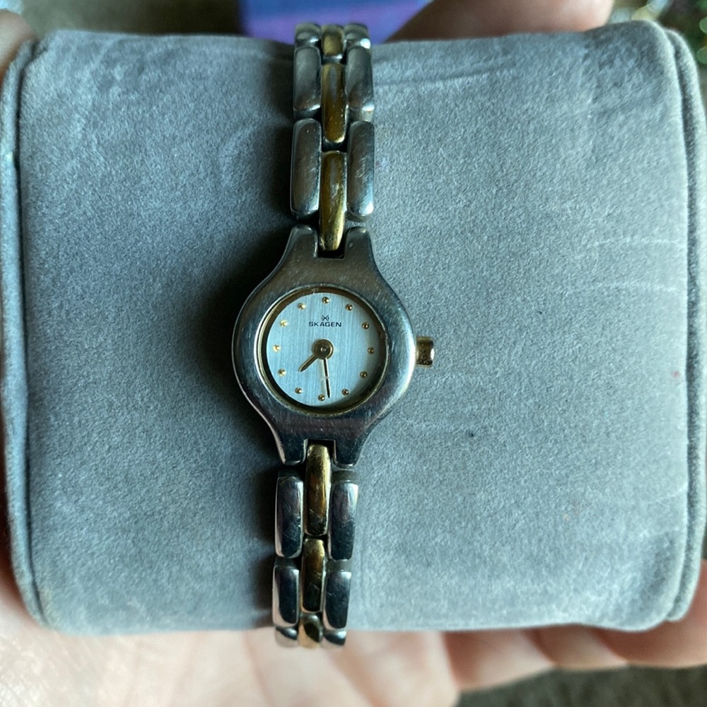 Silver & Gold Skagen Watch